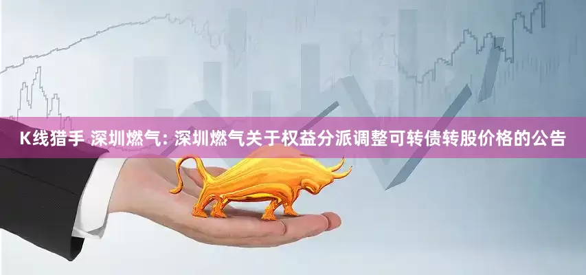 K线猎手 深圳燃气: 深圳燃气关于权益分派调整可转债转股价格的公告